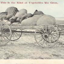 Ruthardt Postcard Collection