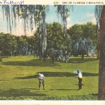 Ruthardt Postcard Collection