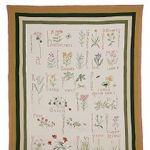 Colorado Wildflowers