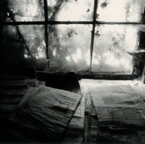 Richard Buswell, Print Shop, Photograph, 18x14in