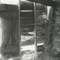 Richard Buswell, Aspen in a Cabin, 1979, Photograph, 18x14in