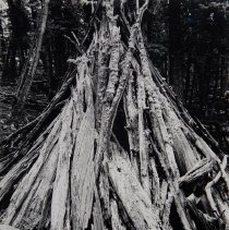 Richard Buswell, Medicine Lodge, Photograph, 18x14in