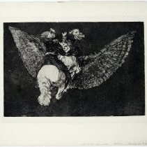 Folly on the Wing, plate 5 from The Proverbs