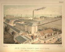 Jacob Holm & Sønners Dampreberbane