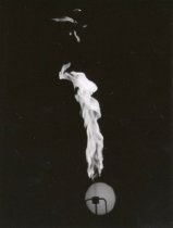 29.9 1:5 nat. st. 4,5 x forst.