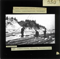 Mærkning af tømmer