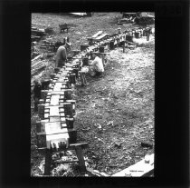 Arbejdere, bøjer træbrædder, planker