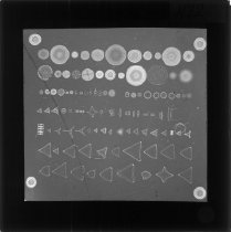 Dianegativ af diatomeer