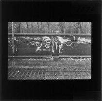 Hvide salte på boulevardbanen østre anlæg