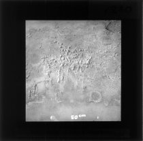 Udblomstringer på kalkpudset mur, DTH