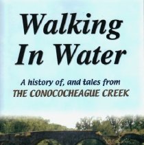 Walking in Water copy 1