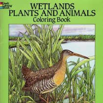 Wetlands Plants and Animals