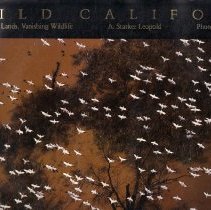 Wild California : Vanishing Lands, Vanishing Wildlife