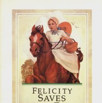 Felicity Saves The Day : A Summer Story