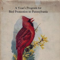 A Year's Program For Bird Protection in Pennsylvania
