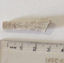Clay Pipe Stem Fragment