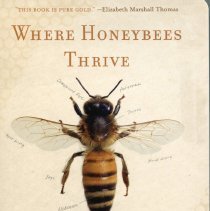 Where Honeybees Thrive : Stories From the Field