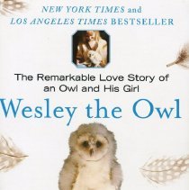 Wesley the Owl
