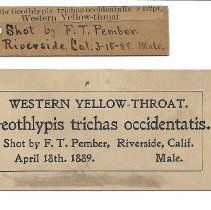 72.0907 Label-card