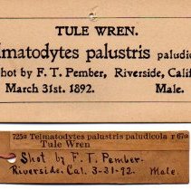 72.1043 Card-label