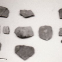 Karankawa Pottery shards