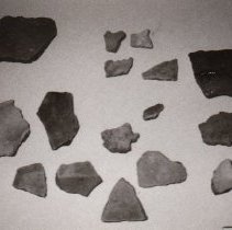 Karankawa Pottery shards