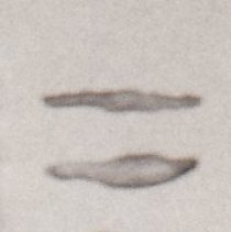 Small arrowheads and flake flints and flint chips