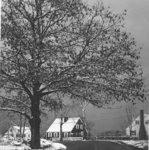 Curving road--snowfall