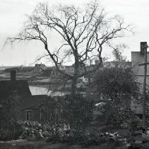 View from Salamander Lane looking towards Fort Constitution