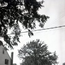 Police Chief Fred Amazeen on Main Street in front of Frost Cemetery