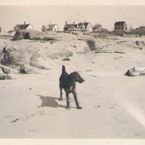 Cottages on New Castle Beach
