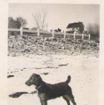 View from New Castle Beach