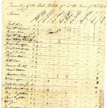 Town Records:  Inventory of the Polls, Estates, in the Town of New Castle, 