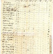 Town Records:  Inventory of the Polls, Estates, in the Town of New Castle, 