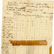 Town Records:  Inventory of the Polls, Estates, in the Town of New Castle, 