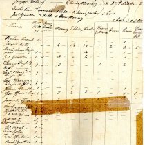 Town Records:  Inventory of the Polls, Estates, in the Town of New Castle, 