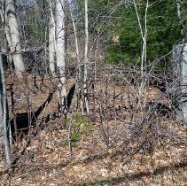 Tarlton Cemetery gate