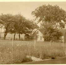 Corner of Oliver Street and Cape Road