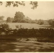 Marvin Field, Oliver Street