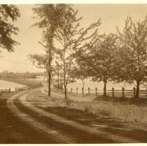 Road to Portsmouth, causeway