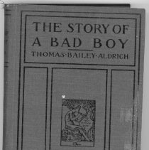 The Story of a Bad Boy