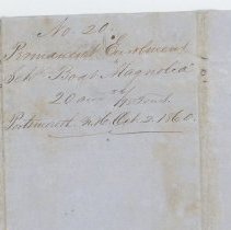 Town Records 1860-1861