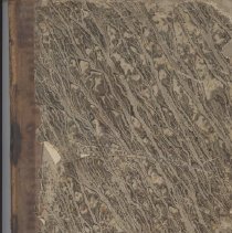 Town Records 1850-1869