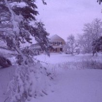 Yellow house on Wild Rose Lane