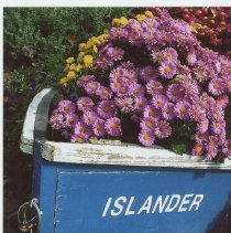 Islander Magazine cover