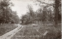 "Lovers' Lane" near Sycamore