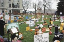 Pumpkins on Courthouse yard