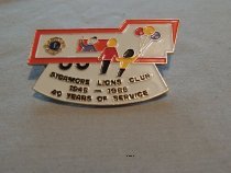 Pin, Award