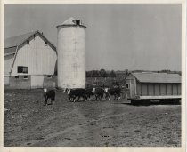 LeRoy Olson Farm