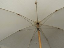 Umbrella